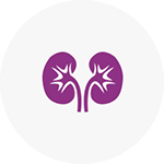 투석혈관 인터벤션 치료 Hemodialysis Access Management